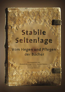 Cover von "Stabile Seitenlage"