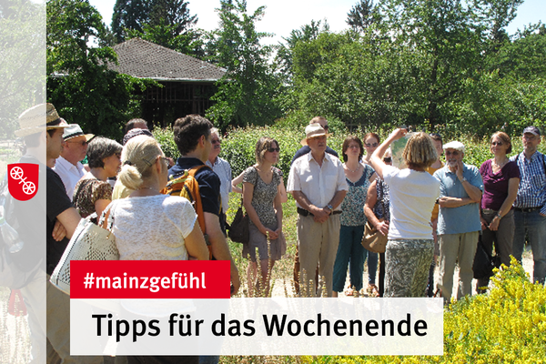 Ein grüner Park mit Brunnen. © Landeshauptstadt Mainz