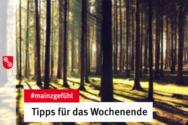 Der Lennebergwald bei Mainz. © Landeshauptstadt Mainz