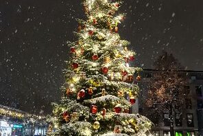 Ein Werbeplakat für die Veranstaltung. © MainzCityTours