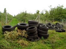 Ein Ärgernis für alle: Autoreifen in der Natur