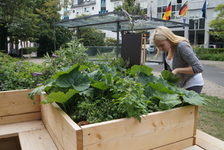 Bildergalerie Urban Gardening Urban Gardening auf dem Romano-Guardini-Platz Die Urban Gardening-Kästen (hier auf dem Romano-Guardini-Platz) machen neugierig.