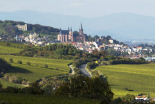 Bildergalerie GWC Oppenheim mit Katharinenkirche und der Ruine Landskrone Oppenheim mit Katharinenkirche und Ruine Landskrone - Sitz der Staatlichen Weinbaudomäne.