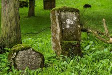 Bildergalerie "Judensand" Gedenkfriedhof Mainzer Judensand Weitere mittelalterliche Grabsteine auf dem alten Gedenkfriedhof Judensand in Mainz.