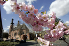 Bildergalerie St. Peter St. Peter St. Peter im Frühling