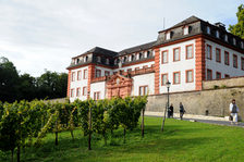 Zitadelle mit Prominenten-Weinberg und Spaziergängern