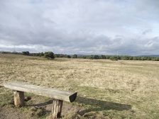 Bank mit Blick über den Mainzer Sand