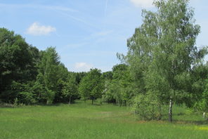 Ober-Olmer Wald © Gunnar Wolf, Forstamt Rheinhessen