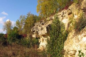 Felsen und Bäume im Weisenauer Steinbruch © HeidelbergCement