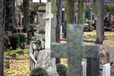Alte Gräber auf dem Hauptfriedhof Mainz