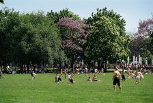 Liege- und Spielwiese im Mainzer Volkspark