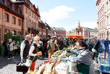 Kunden beim Einkauf am Marktstand