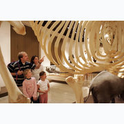 Besucher im Naturhistorischen Museum Mainz © Landeshauptstadt Mainz