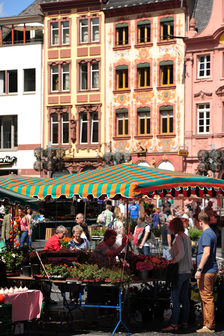 Wochenmarkt auf dem Domplatz