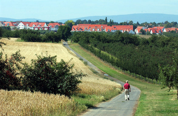 Felder mit Blick auf Drais