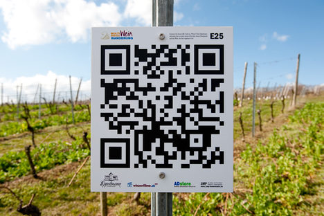 QR-Code in einem Weinberg