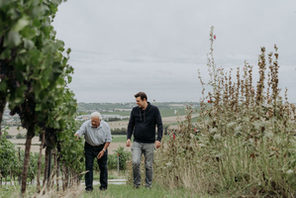 Weinberge © Weingut Braunewell