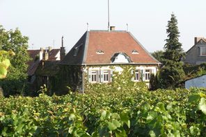 Weingutshaus Becker Ludwigshöhe © Becker Ludwigshöhe