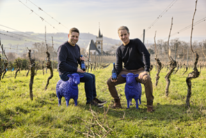 Ein Bild zeigt zwei Männer, die im Weinberg auf blauen Schafen sitzen. © Weingut Dautermann