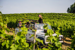 Weinsafari in den Weinbergern © Weingut Mohrenhof