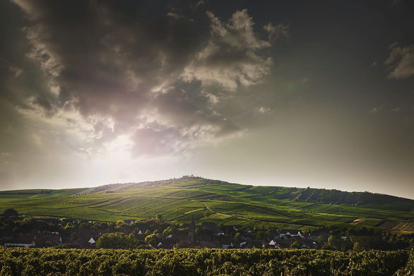 Blick auf den Petersberg